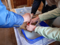  Mitmachaktion im Freilichtmuseum